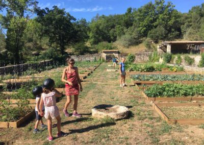Cueillette de légumes au jardin potager du Domaine de l'Astic en Ardèche